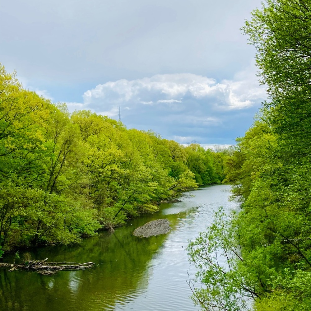 Meet your Posher, Elena